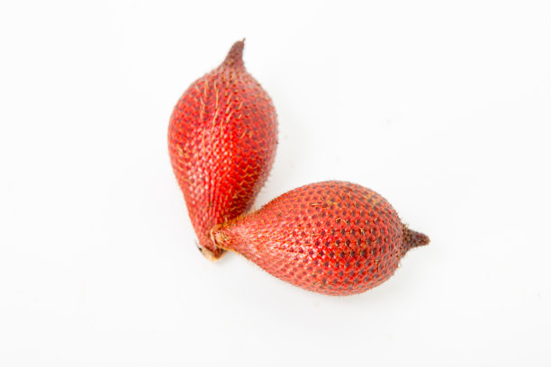 萨拉克，萨拉（Zalacca edulis Reinw.）图片下载