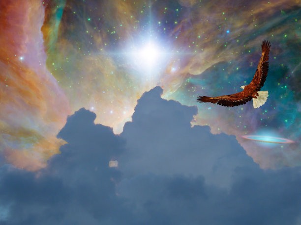 梦幻飞行中的鹰图片下载