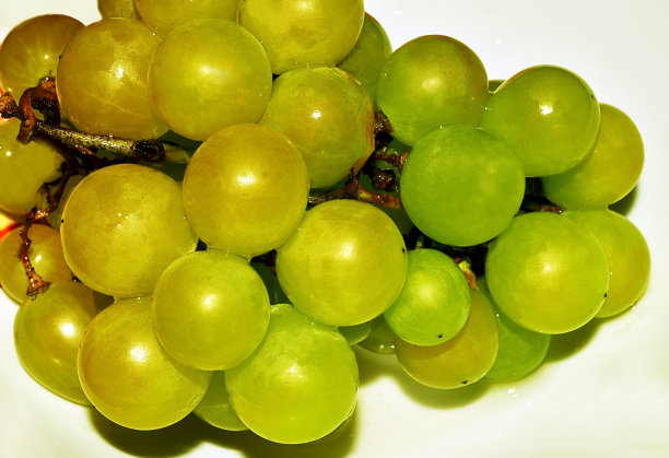 葡萄图片下载
