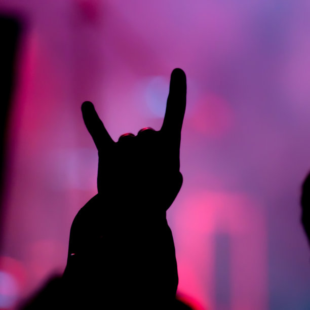 球迷们。音乐会。图片下载