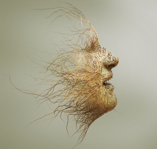 树枝做的头图片下载