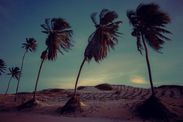 三胞胎图片下载