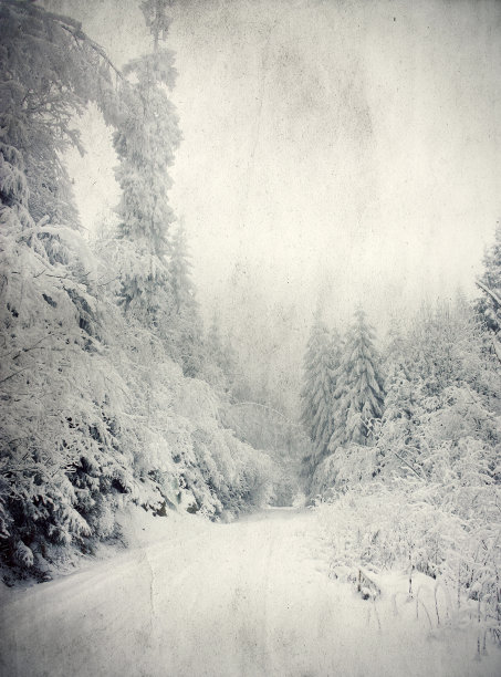 圣诞景观图片下载