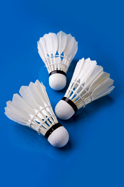 羽毛球图片下载