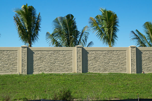 山顶墙后的棕榈树图片下载