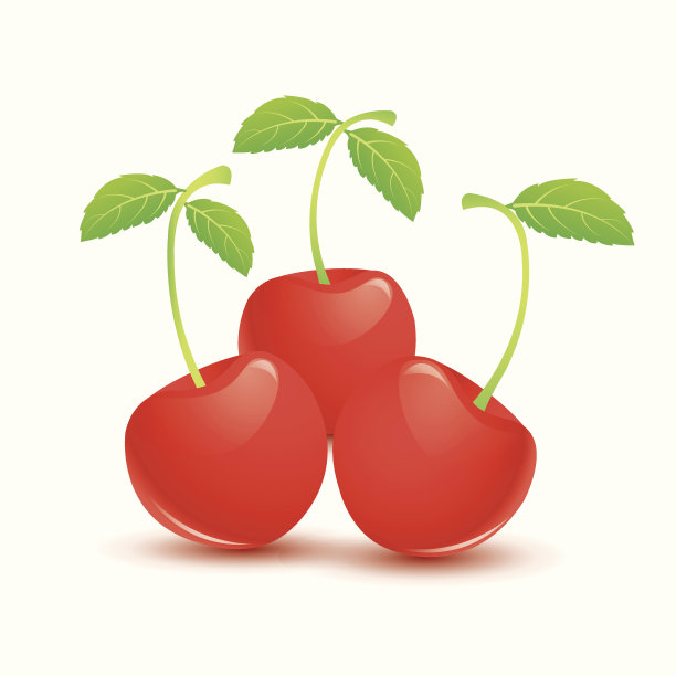 成熟的红樱桃叶图片下载