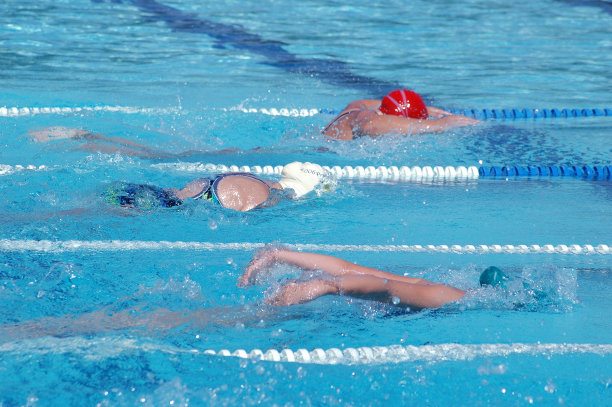 三位年轻女子蝶泳图片下载