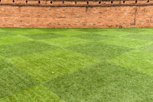 草坪和砖墙图片下载