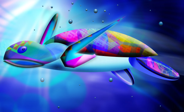 阿茨拉特龟图片下载