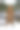 站立照片素材ID：138146794
