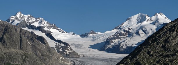 艾格，蒙奇和少女图片下载