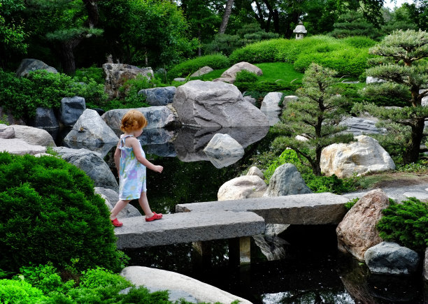 女孩在盆景岩石花园里图片下载