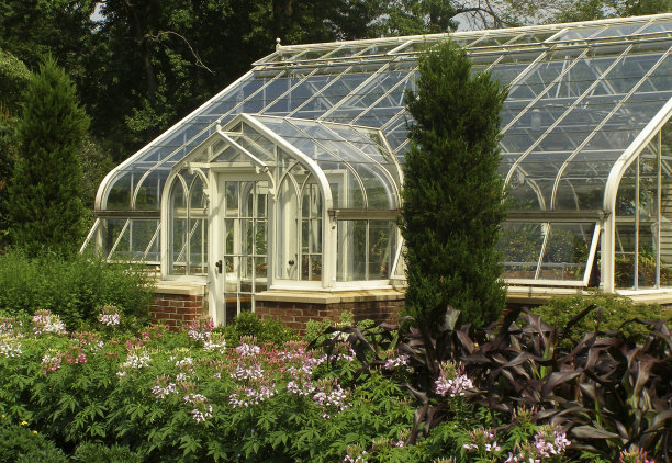 优雅的温室图片下载