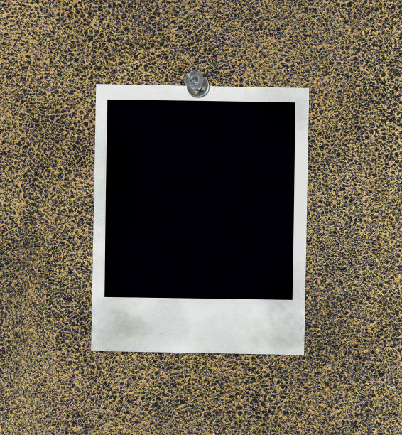 宝丽来在皮革图片下载