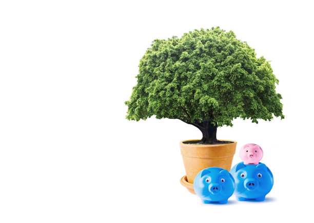 花盆里的大树和家里的储蓄罐图片下载