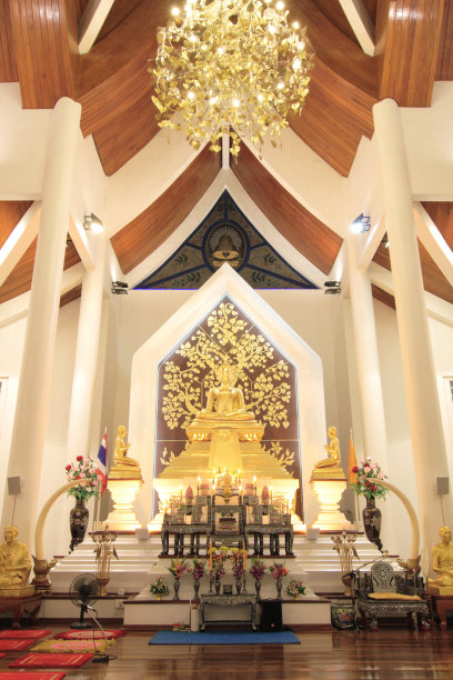 什么帕普拉杜图片下载