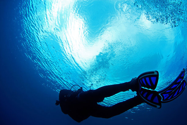 潜水员在蓝色的水中图片下载