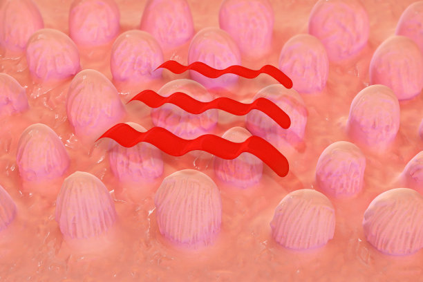 内耳微距- 3d渲染插图图片下载