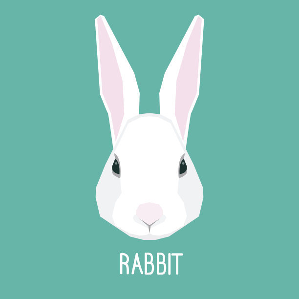 卡通白兔肖像图片下载