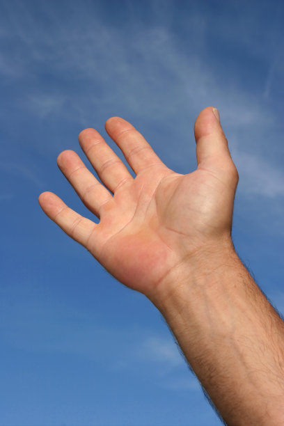 飞向天空图片下载