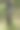小径标志杆图片下载