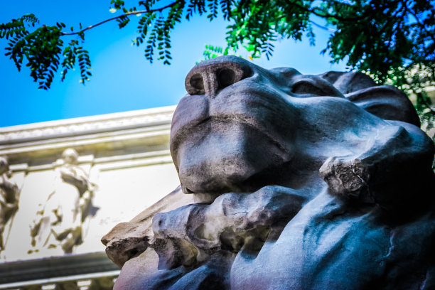 公共图书馆，纽约。图片下载