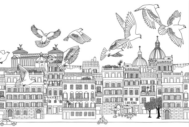 鸟类在罗马图片下载