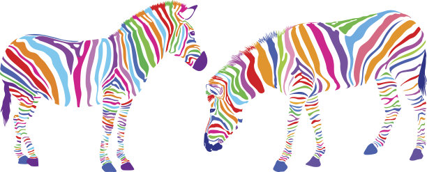 两条带彩色条纹的斑马。图片下载