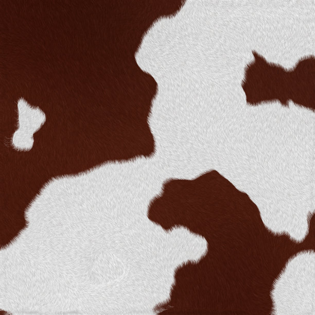 奶牛皮毛(皮肤)背景或纹理图片下载