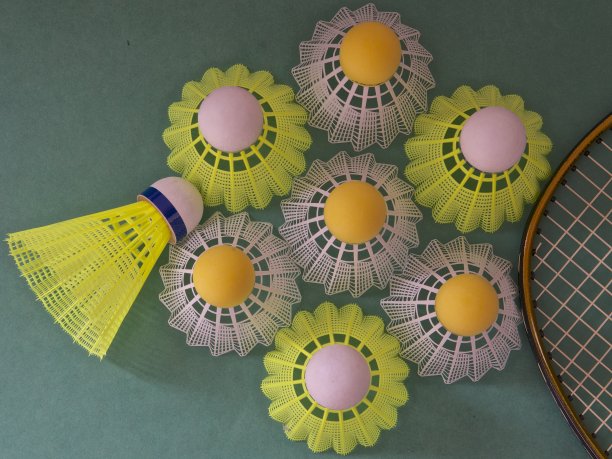 任何人对羽毛球图片下载