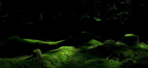 的地方图片下载