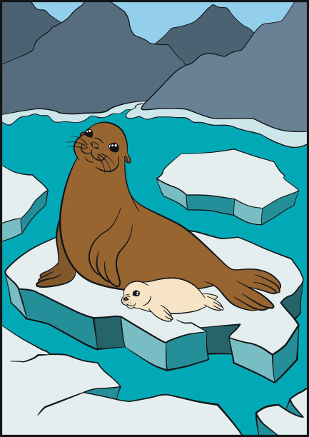 卡通动物。海豹妈妈带着她可爱的白衣宝宝。图片下载