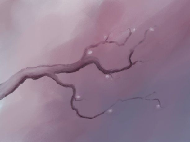 盛开的樱花图片下载