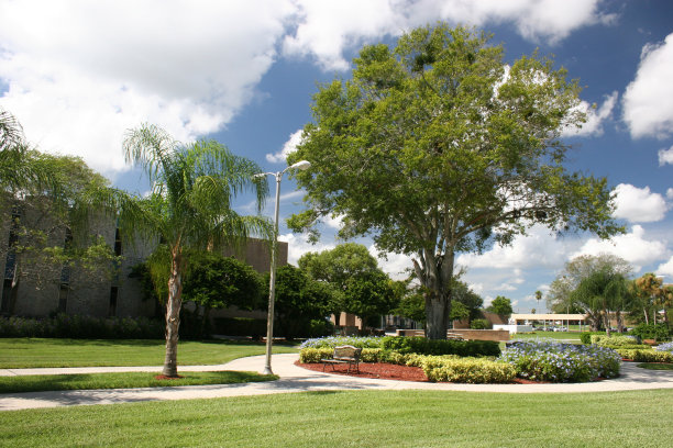 美丽的大学校园图片下载