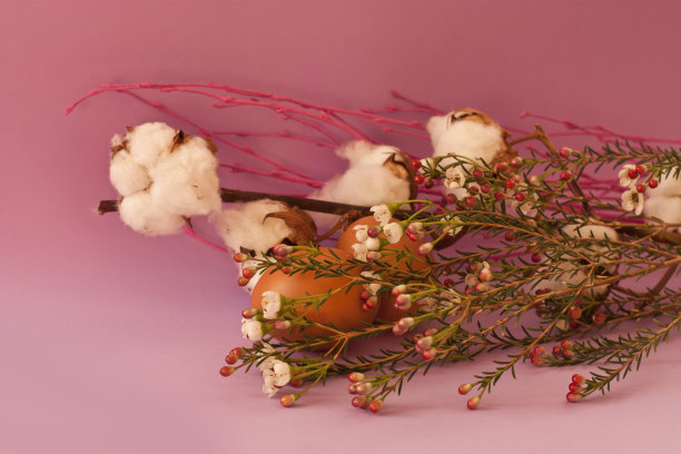 复活节卡片上有棉花花、蜡花和鸡蛋图片下载