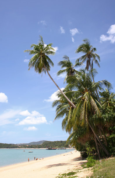 热带海滩图片下载