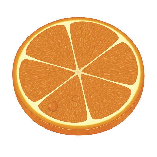 新鲜橙子矢量图图片下载
