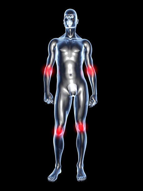 关节疼痛-解剖学图片下载