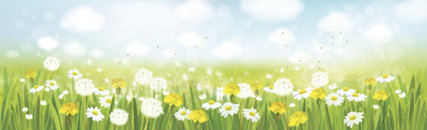 矢量自然泉背景。素材图片