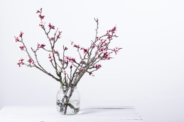 桃花儿图片下载