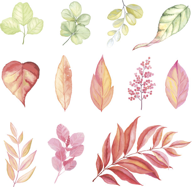 向量收集多彩的叶子。图片下载