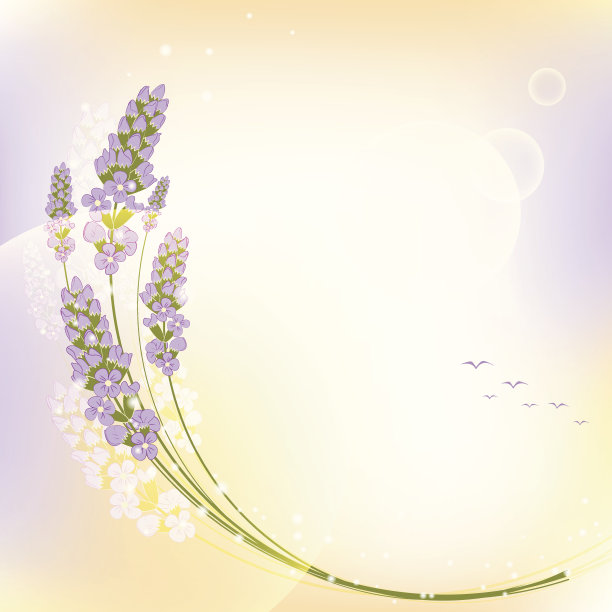 紫色薰衣草花彩色背景图片下载