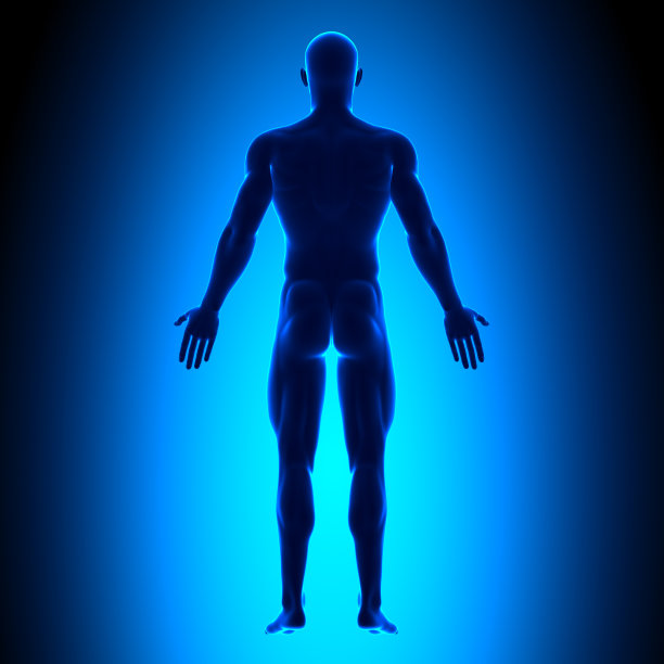 全身-后视图蓝色概念图片下载