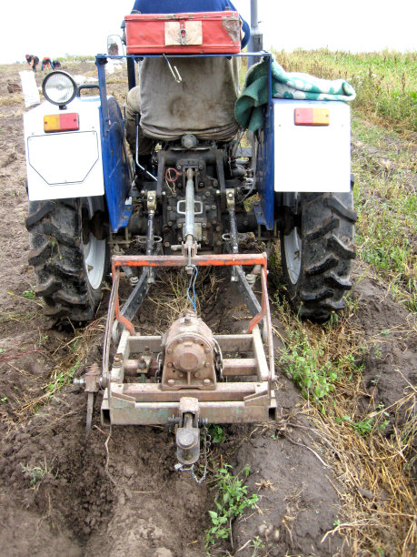 土豆的收获过程图片下载