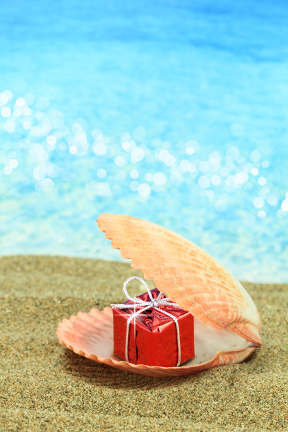 海滩上的贝壳里装着礼品盒图片下载