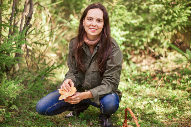 采摘蘑菇。图片下载