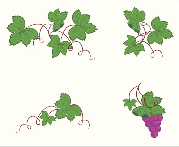 葡萄叶图片下载