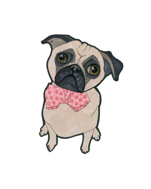 坐着的哈巴狗有着大大的眼睛和粉红色的蝴蝶结图片下载