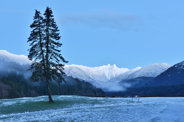克利夫兰公园与狮子山，北温哥华图片下载