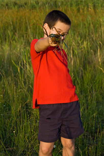 男孩拿着芦苇图片下载